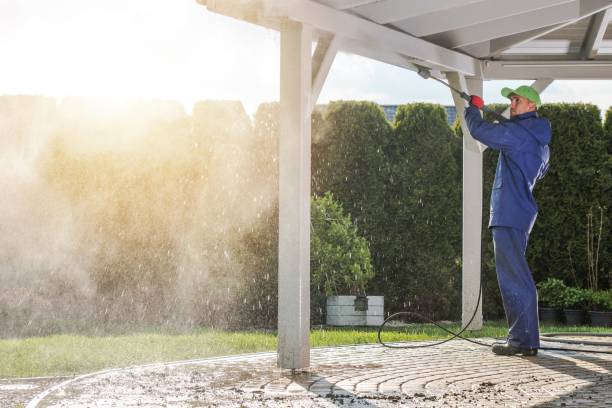 Best Gutter Cleaning  in Hermantown, MN