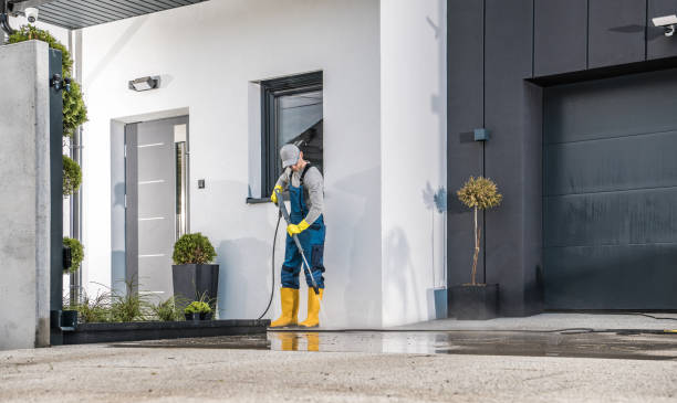 Best Solar Panel Cleaning  in Hermantown, MN